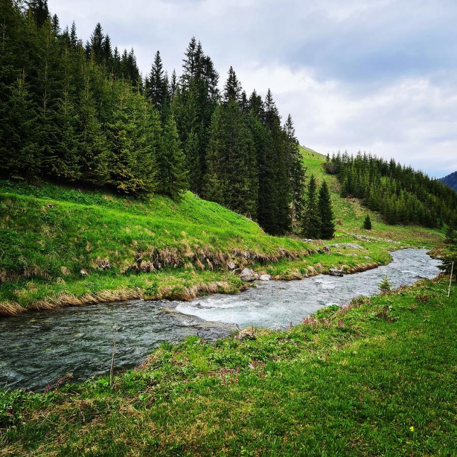 Fewo D'Rock Arosa- Center Of Nightlife By Nature Apartments Switzerland Екстер'єр фото