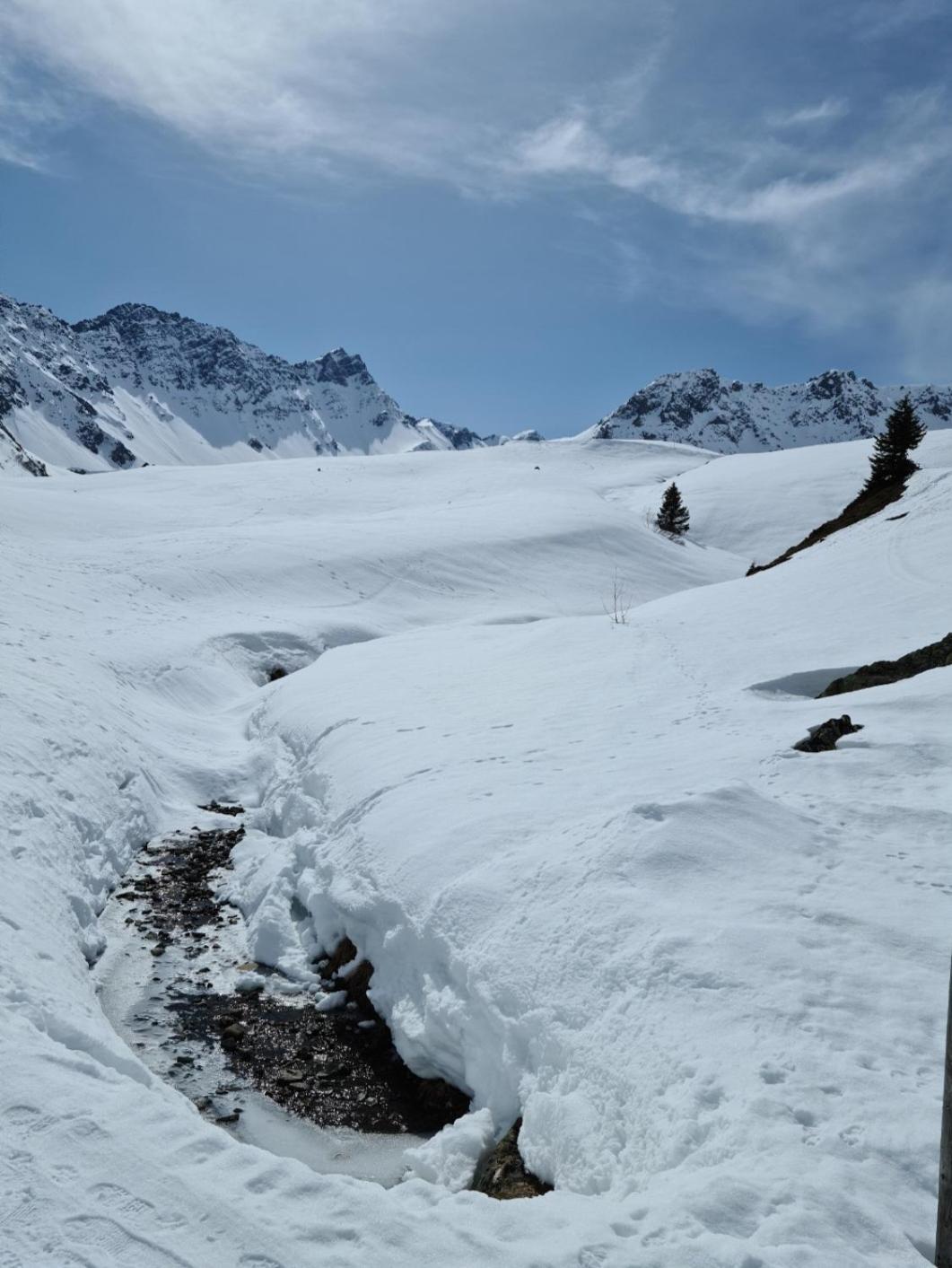 Fewo D'Rock Arosa- Center Of Nightlife By Nature Apartments Switzerland Екстер'єр фото