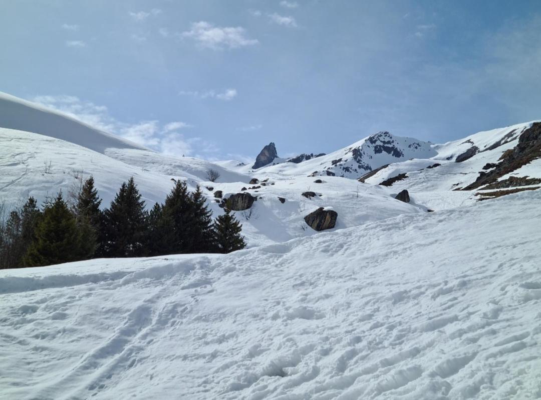 Fewo D'Rock Arosa- Center Of Nightlife By Nature Apartments Switzerland Екстер'єр фото