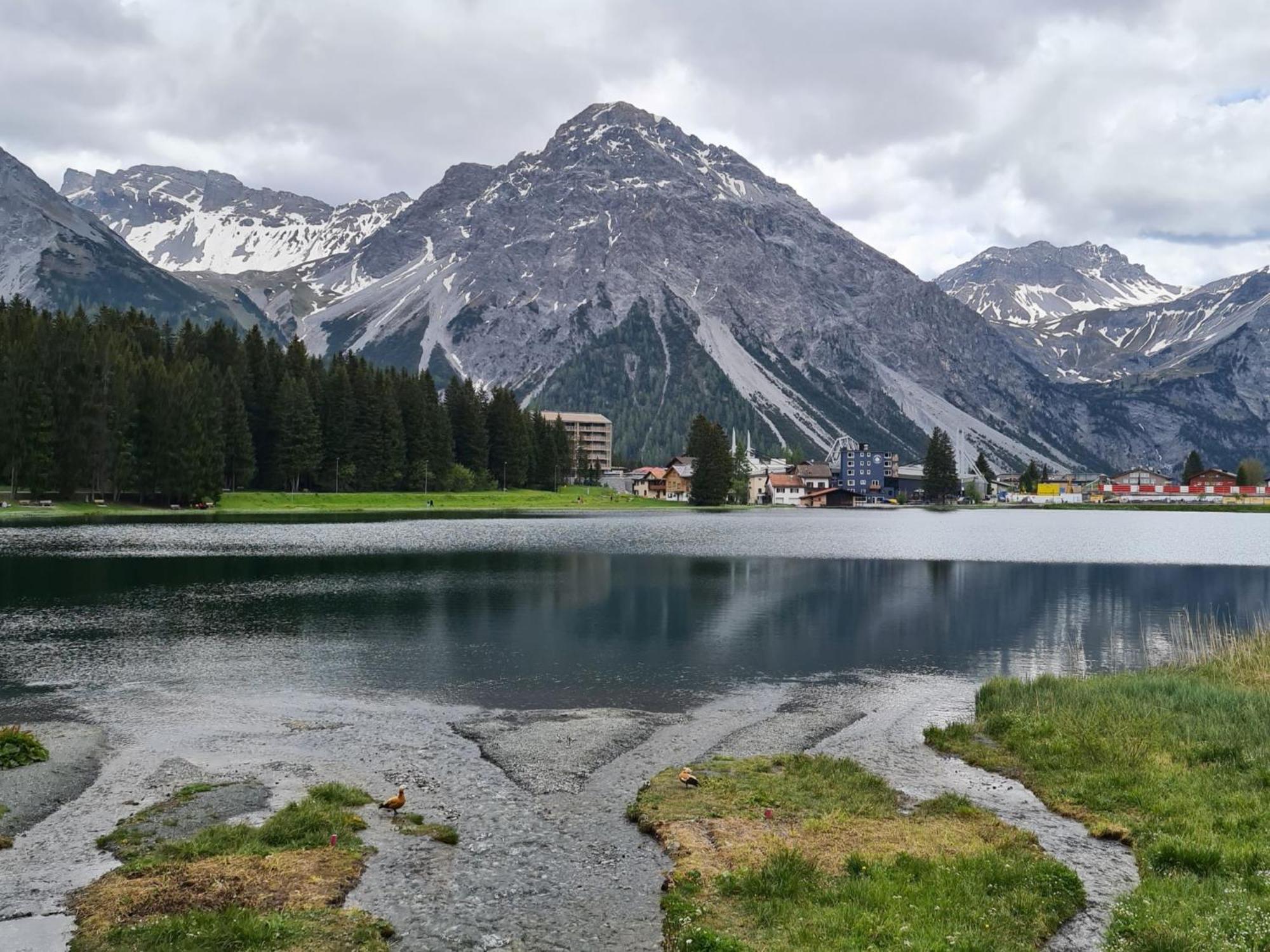 Fewo D'Rock Arosa- Center Of Nightlife By Nature Apartments Switzerland Екстер'єр фото